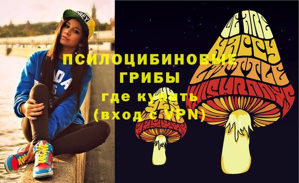 кокаин Белокуриха
