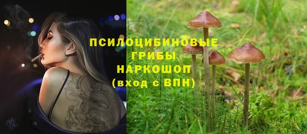 гидропоника Нея