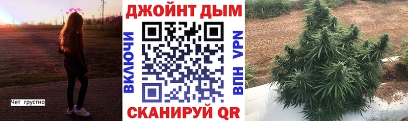 Шишки марихуана марихуана  наркотики  Тогучин 